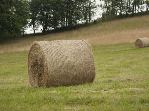 Stack of hay