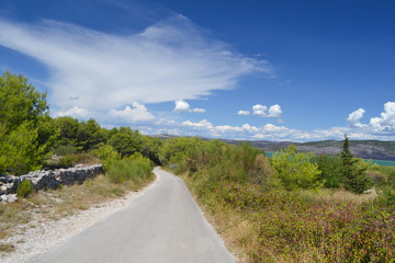 Fototapeta na wymiar Asphalt road in Western part of Vransko jezero Nature Reserve, green trees and blue sky with clouds, Dalmatia, Croatia