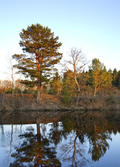 Toropa river near Toropets. Tver Oblast. Russia