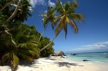 Seychelles - Silhouette
