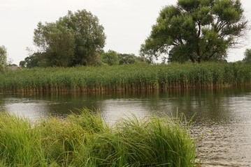 Summer lake in cloudy weather