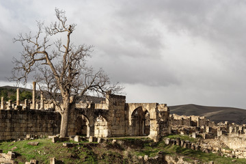 Fototapeta premium Djemila, site Romain