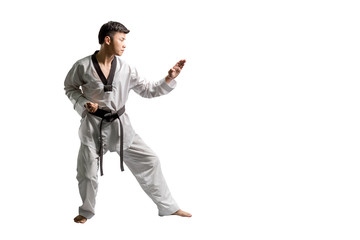 Portrait of an asian professional taekwondo black belt degree (Dan) preparing for punch. Isolated full length on white background with copy space and clipping path