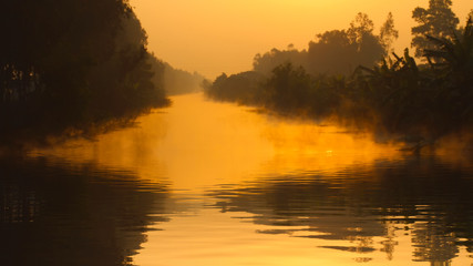 dawn on the river with dew
