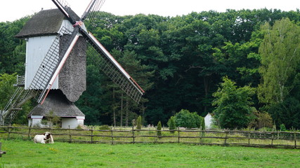 An old windmill at Domain Bokrijk in Belgium.