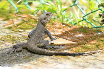 My photos for review