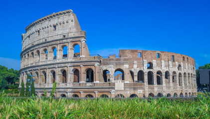 Fototapeta premium Colosseum ruins
