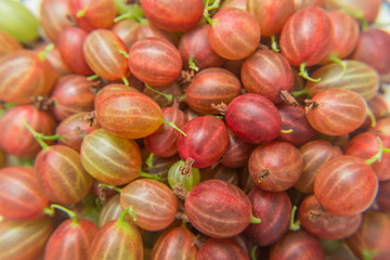 Lots of red berries gooseberry. Healthy eating. Vitamin products.
