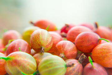 Red gooseberries on blurred background. Vitamin products.