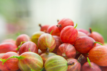 Red gooseberries on blurred background. Vitamin products.