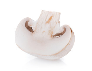 white Mushroom champignon isolated on white background