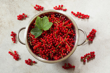 Colander full of freshly harvested red currants. Top view.