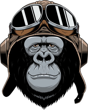 Monkey in helmet pilot.