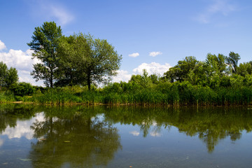 Fototapeta na wymiar Beautiful lake on summer