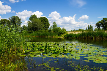 Obraz na płótnie Canvas Beautiful lake on summer