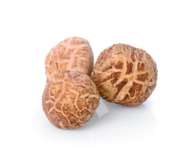 Shiitake mushroom on the White background