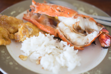 Thai Jasmine rice eating with shrimp and omelet