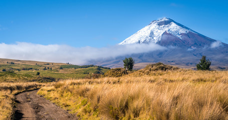 Fototapeta premium VOLCÁN COTOPAXI