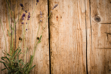 Belle planche de bois avec fleurs de lavande