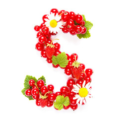 Letter S English alphabet in the form of a pattern of red currant berries and white flowers and leaves on a white background