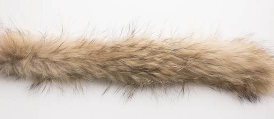Lynx fur. Texture. Stock photos Top view. Close-up