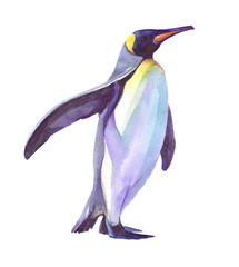 Watercolor single penguin animal isolated on a white background illustration.