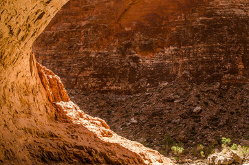 Grand Canyon rock abstract