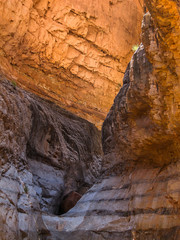 Grand Canyon rock abstract