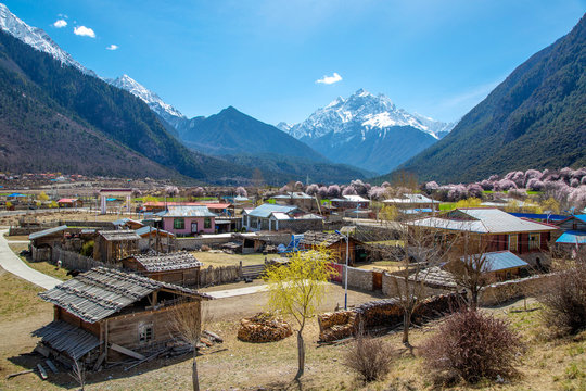 Linzhi,Tibet,China