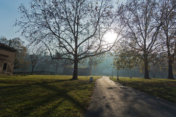 Kalemegdan park on a sunny autumn morning in Belgrade, Serbia