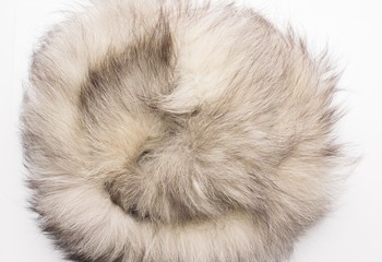 The fur of a Arctic,  polar fox Fox. Texture. Stock photo Top view. Close-up