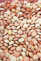 Eating lentil lentis closeup texture studio photo.