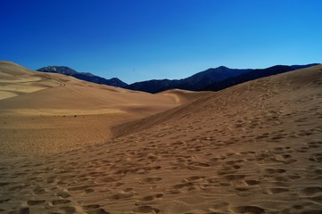 Fototapeta na wymiar Wüstenlandschaft im The great Sand Dunes NP