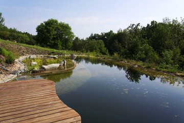 Naklejka premium Wooden pier at natural swimming pond purifying water plants