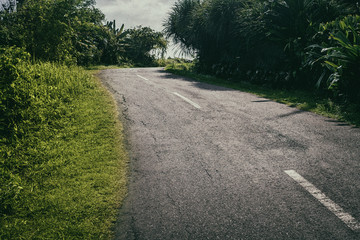 Fototapeta na wymiar Curved road in tropics .Road turn in forest landscape. Road in tropical forest in sunlight.