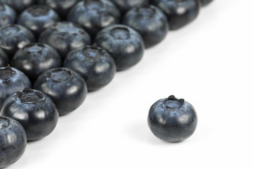 fresh blueberries isolated on white background
