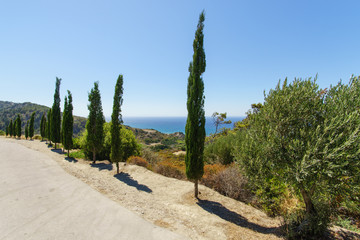 Allee mit Mittelmeerblick Rhodos