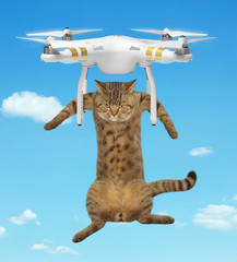 The cat flies on a drone in the sky. - obrazy, fototapety, plakaty