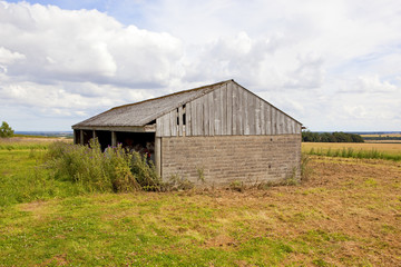 Fototapeta na wymiar old farm building
