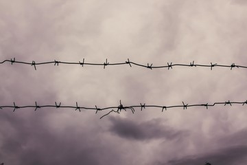 A barbed wire against the gray sky on a gloomy summer day. A barbed wire on the fence of the fenced territory. Like the sky, open to not many and open only to those who are ready to conquer it.