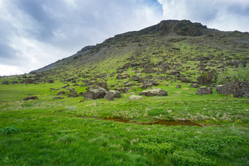 Fototapeta na wymiar Iceland - Green mountain and huge stones with river