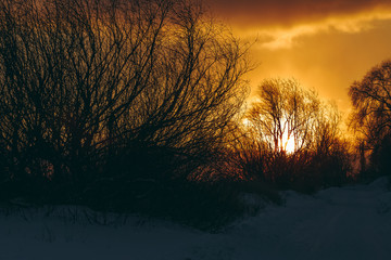 Obraz premium Colorful winter sunrise