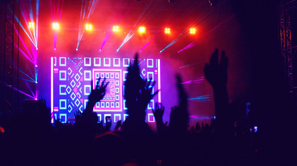  Jubelnde Menge bei einem Konzert