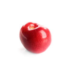 Fresh ripe cherry on white background