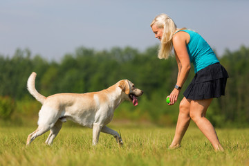 mature woman plays with a labrador outdoors