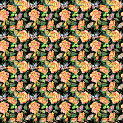 Wildflower rose flower  pattern in a watercolor style. Full name of the plant: rose. Aquarelle wild flower for background, texture, wrapper pattern, frame or border.