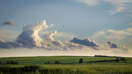 Clouds hovering over fields © loginovsergei
