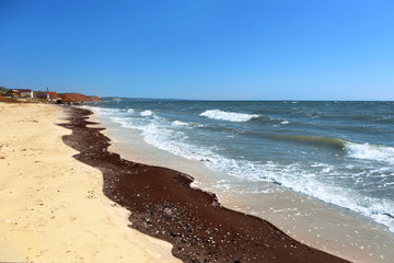 Beautiful seacoast  on a sunny day