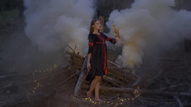 A witch with light brown owl on his arm barefoot stands among the smoke and glowing gerunds in the middle of the woods late at night, slow motion shooting
