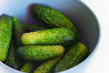 Seasonal little picled cucambers in a bowl on a kitchen table